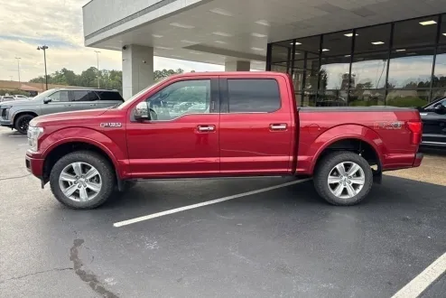2019 Ford F-150 Platinum photo 2