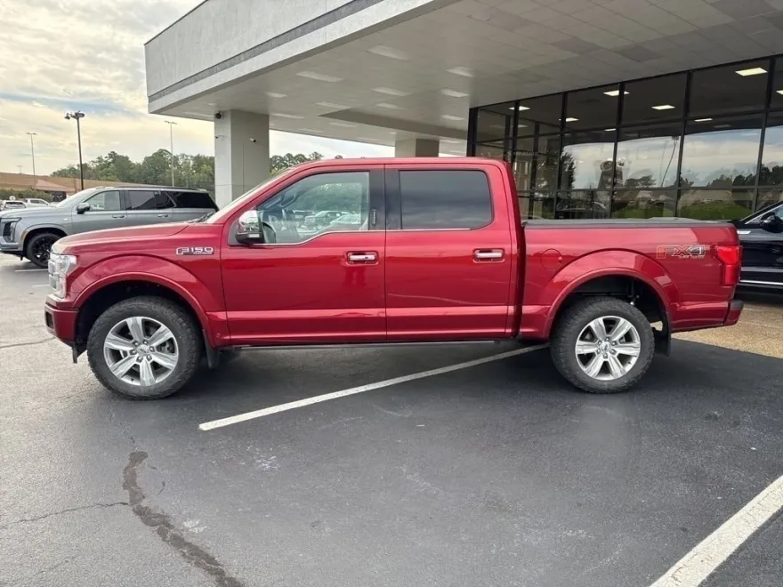 2019 Ford F-150 Platinum photo 2