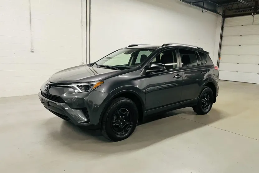 2017 Toyota RAV4 LE Sport photo 1