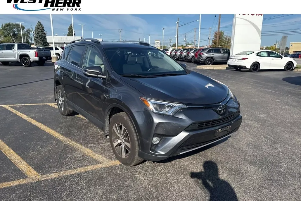 2017 Toyota RAV4 XLE photo 1