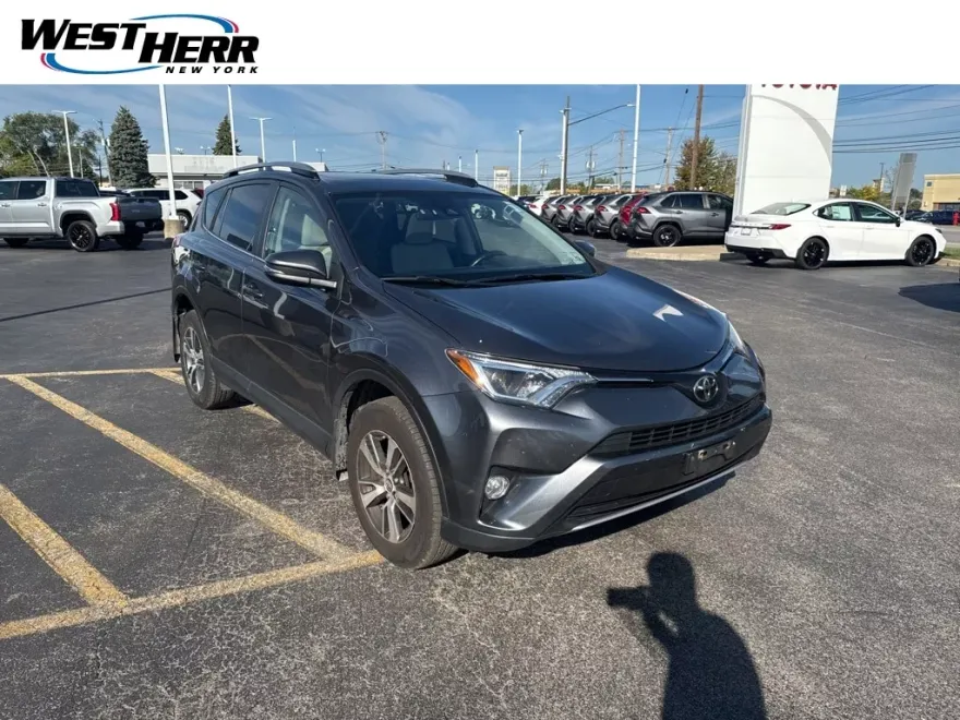 2017 Toyota RAV4 XLE photo 1