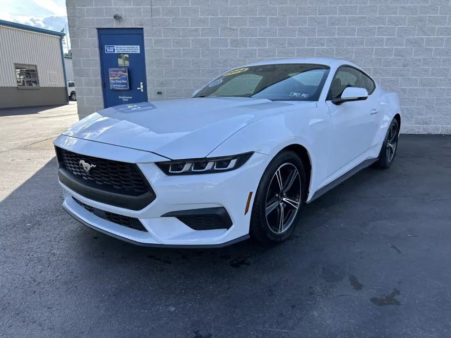 2024 Ford Mustang EcoBoost Premium photo 1