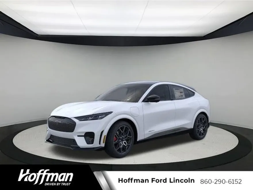 2025 Ford Mustang Mach-E GT photo 1