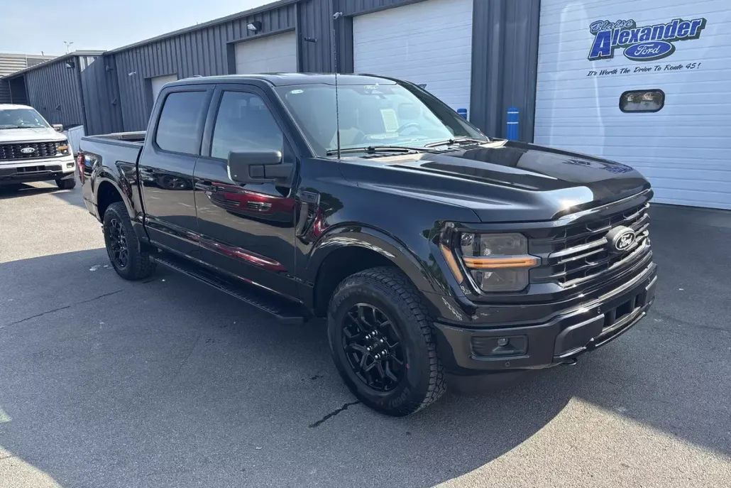 2025 Ford F-150 XLT photo 1
