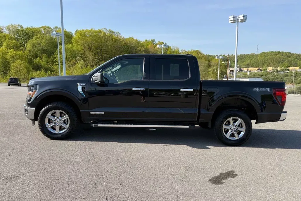2024 Ford F-150 XLT photo 1