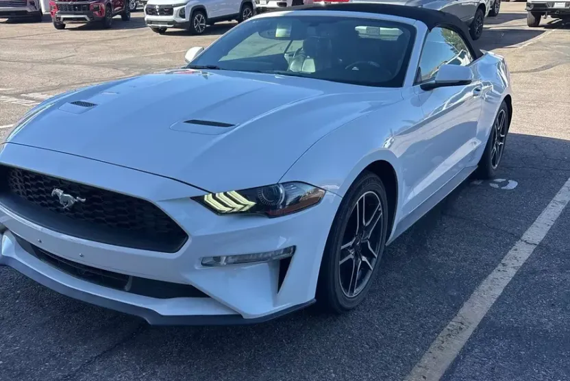 2019 Ford Mustang EcoBoost Premium photo 1