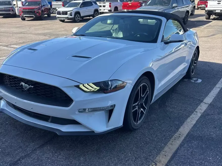 2019 Ford Mustang EcoBoost Premium photo 1
