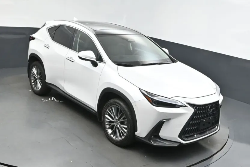 2023 Lexus NX 350 Luxury photo 1