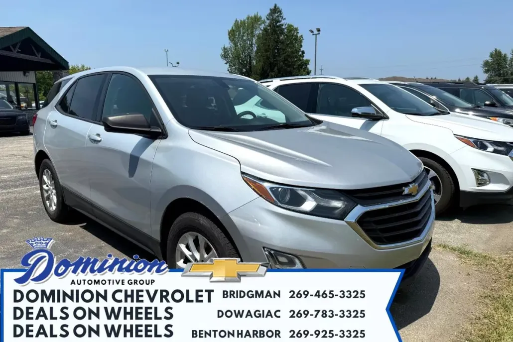 2018 Chevrolet Equinox LS photo 1