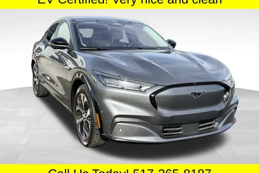 2021 Ford Mustang Mach-E Premium photo 1