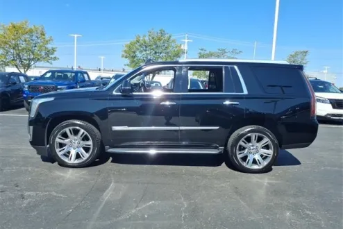 2015 Cadillac Escalade Luxury photo 3