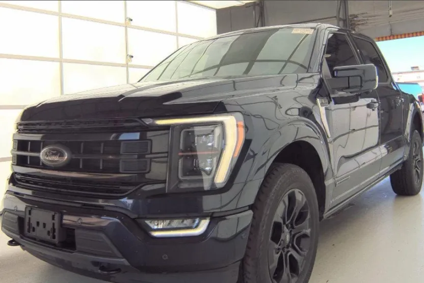 2022 Ford F-150 Platinum photo 1