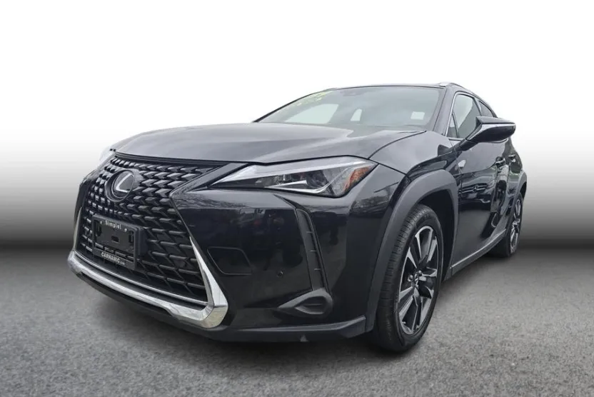 2021 Lexus UX 200 photo 1