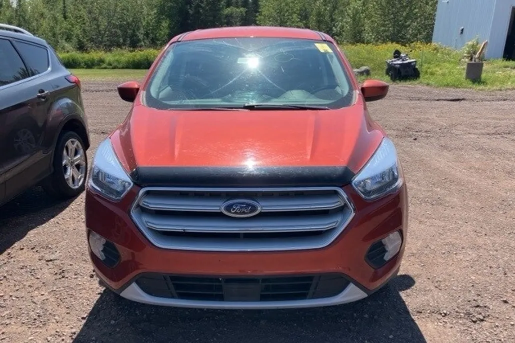 2019 Ford Escape SE photo 1