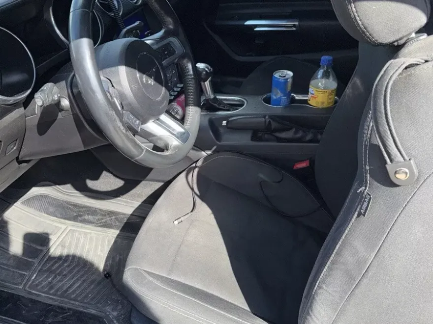 2021 Ford Mustang EcoBoost photo 1