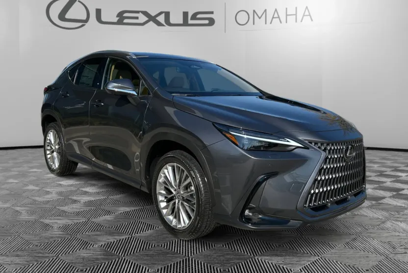 2025 Lexus NX 350 Luxury AWD photo 1