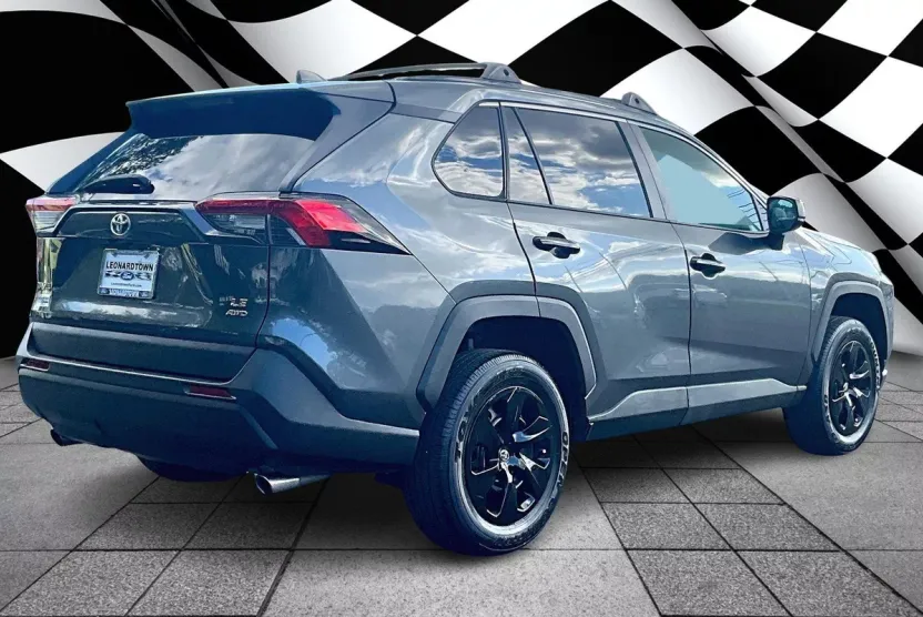 2019 Toyota RAV4 LE photo 1