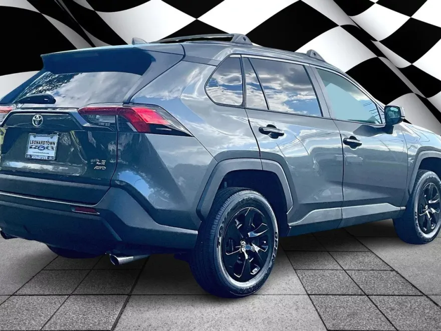 2019 Toyota RAV4 LE photo 1