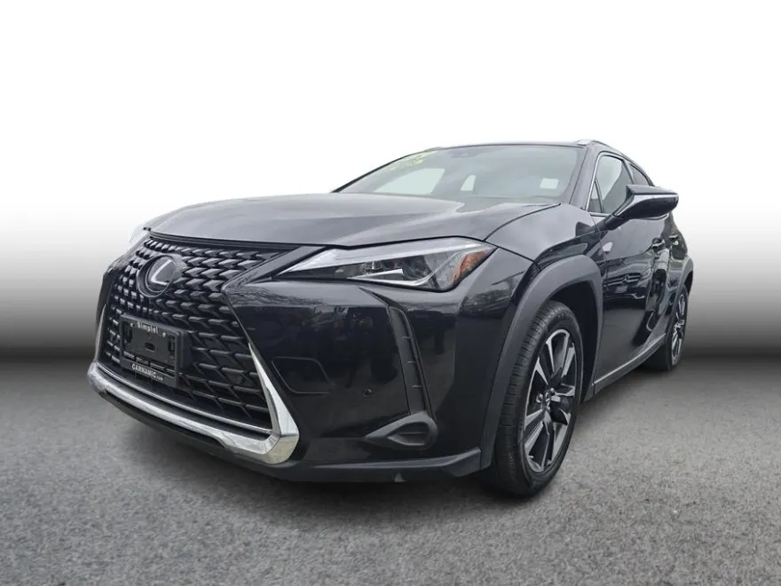 2021 Lexus UX 200 photo 1
