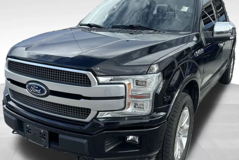 2019 Ford F-150 Platinum photo 1