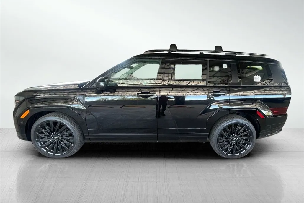 2025 Hyundai Santa Fe Calligraphy photo 1