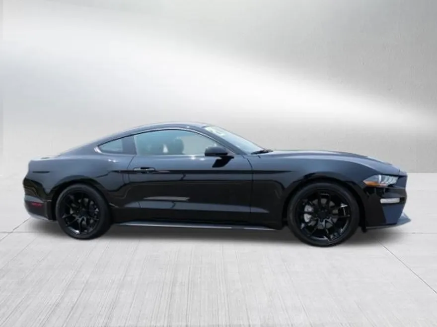 2021 Ford Mustang EcoBoost photo 1