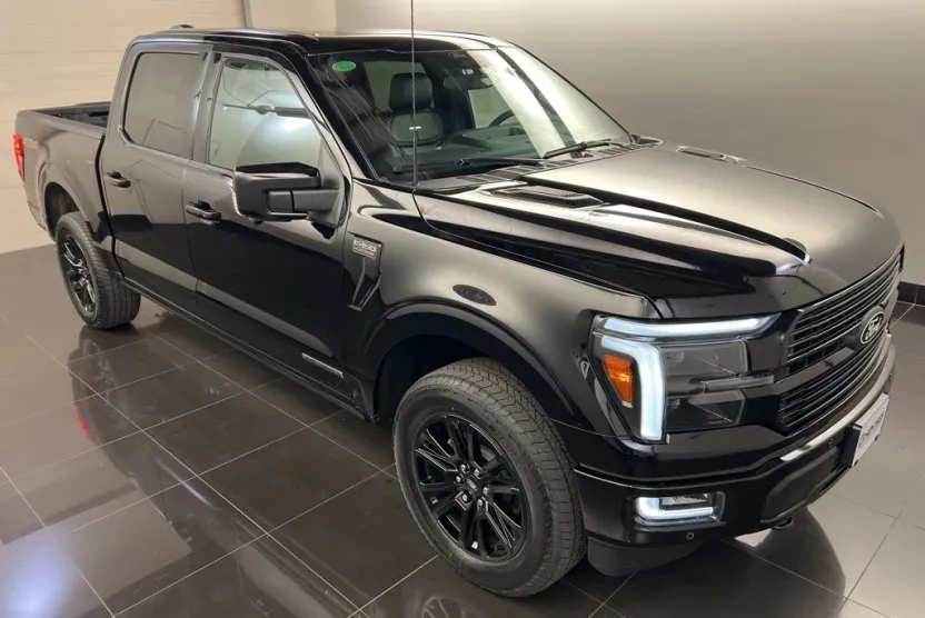 2025 Ford F-150 Platinum photo 1