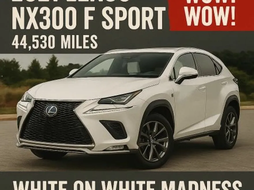 2021 Lexus NX 300 F SPORT photo 1