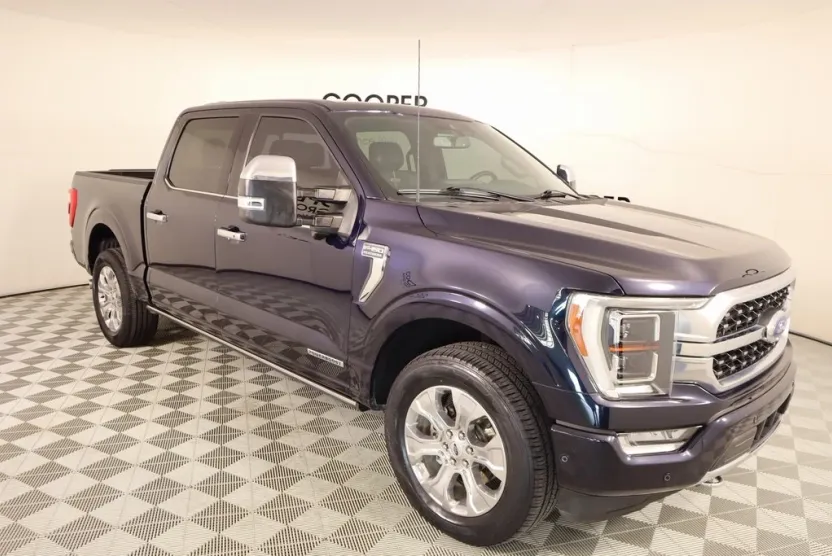 2021 Ford F-150 Platinum photo 1