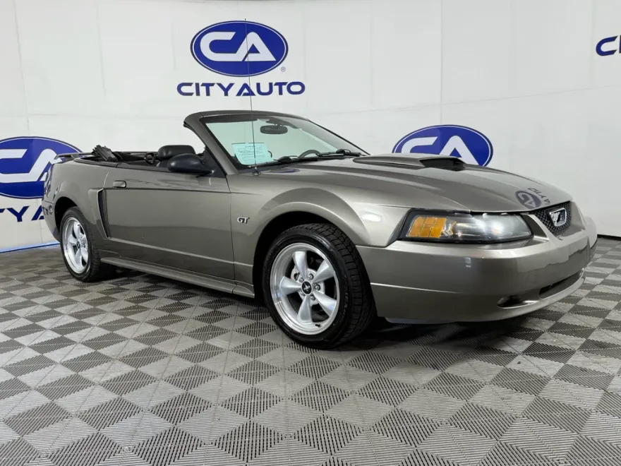2002 Ford Mustang GT photo 1