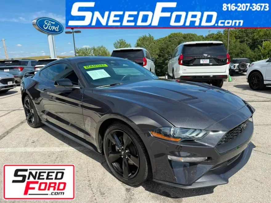 2022 Ford Mustang EcoBoost Premium photo 1