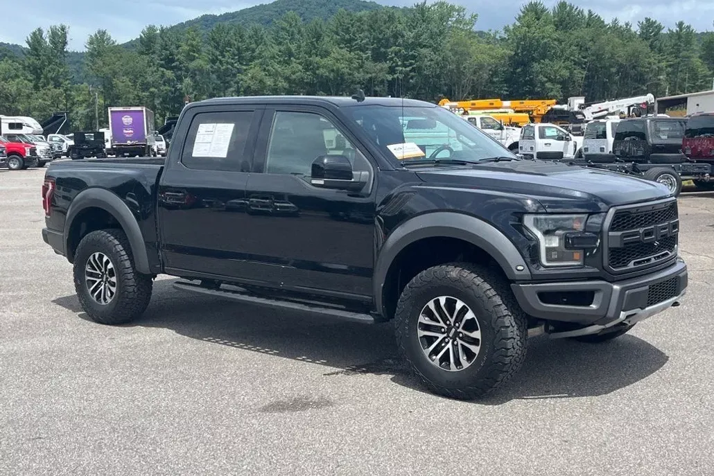 2020 Ford F-150 Raptor photo 1