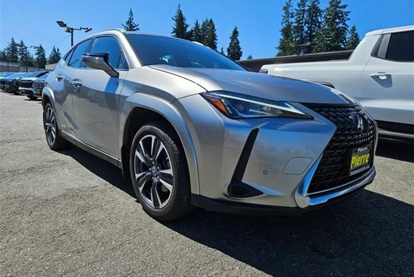 2022 Lexus UX 250h photo 1