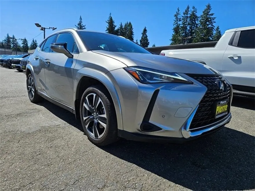 2022 Lexus UX 250h photo 1