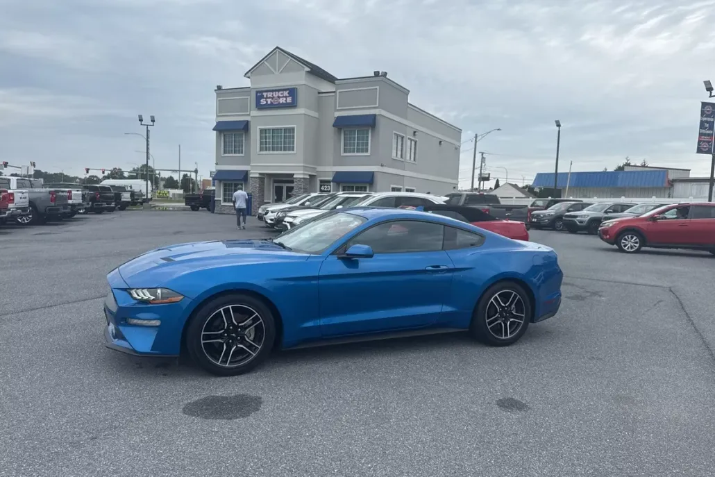 2021 Ford Mustang photo 1