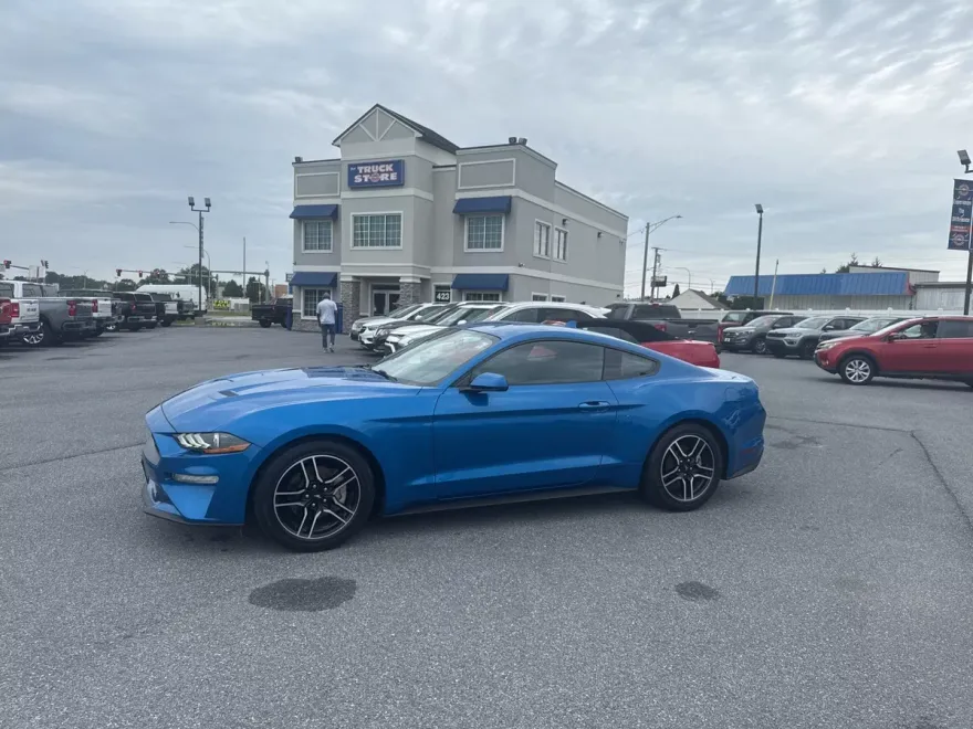2021 Ford Mustang photo 1