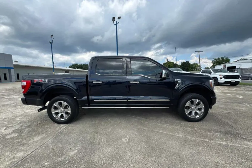2021 Ford F-150 Platinum photo 1