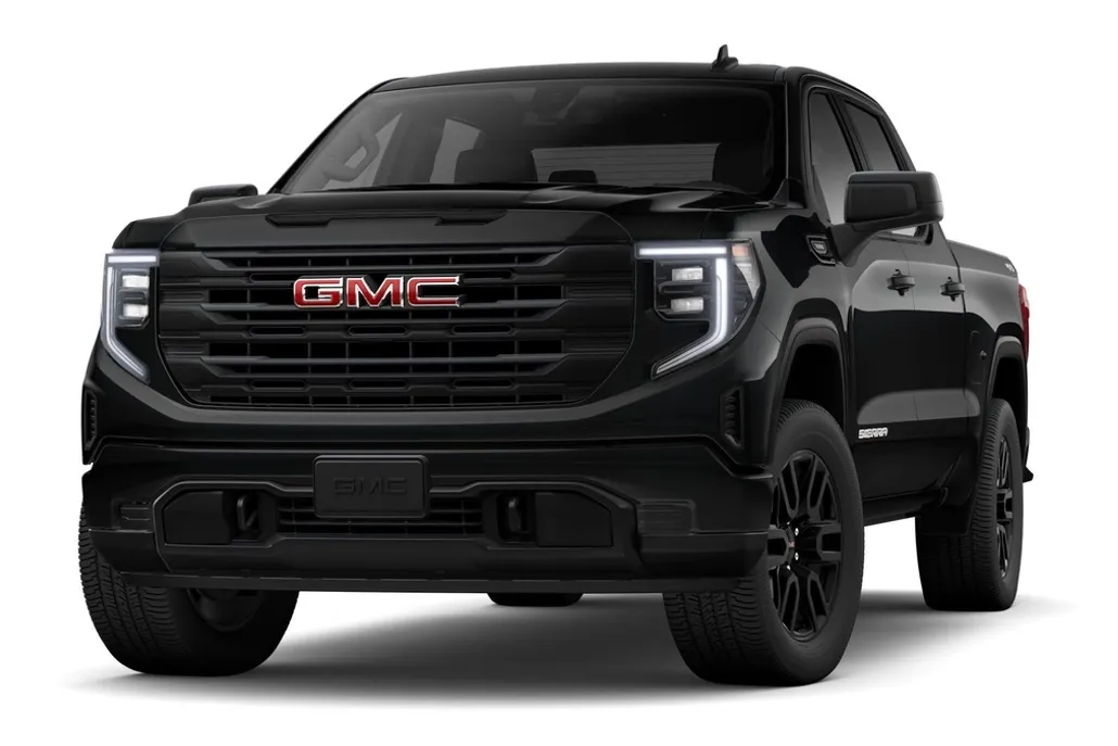 2025 Gmc Sierra 1500 Pro photo 1