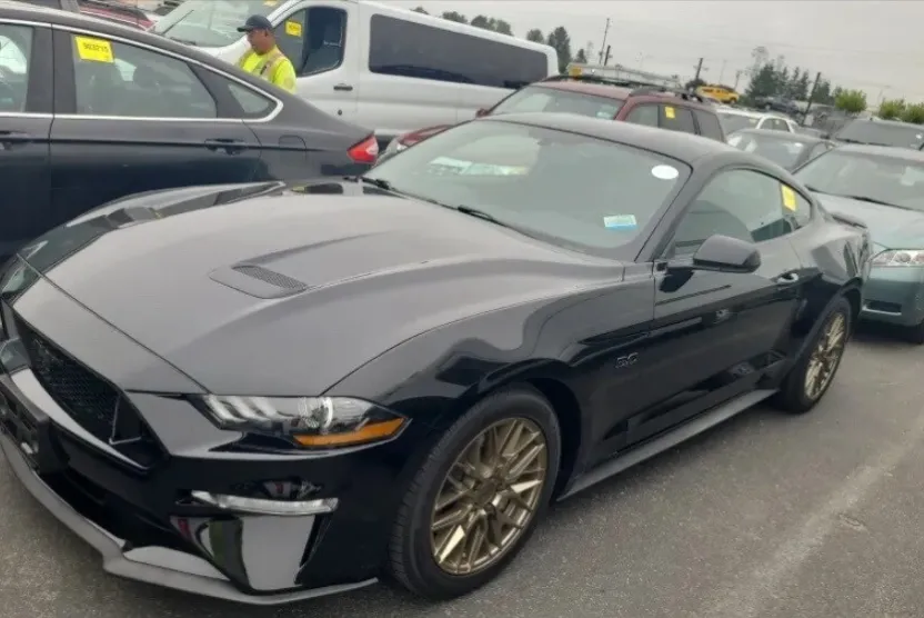 2019 Ford Mustang GT photo 1