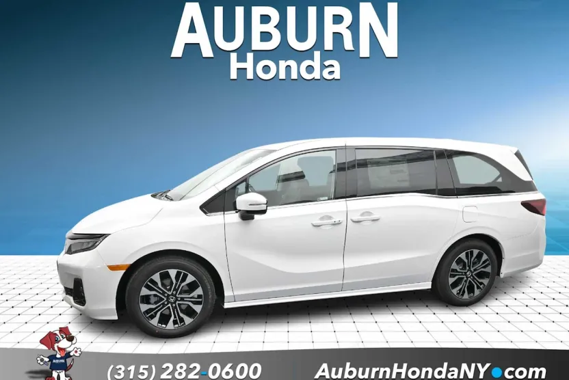2026 Honda Odyssey Elite photo 1