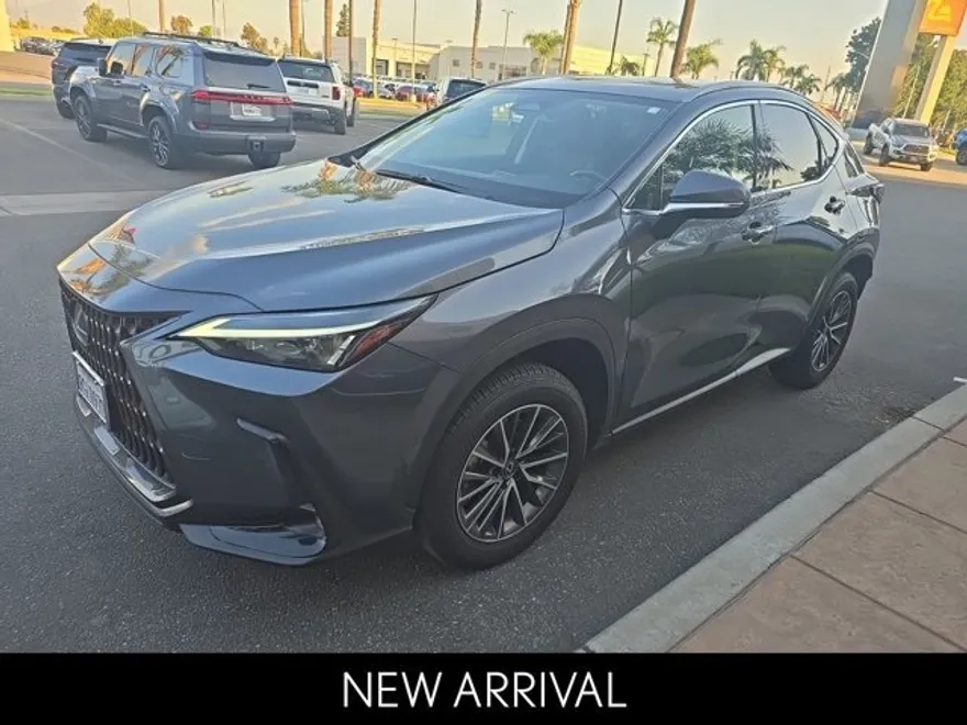 2024 Lexus NX 250 photo 1