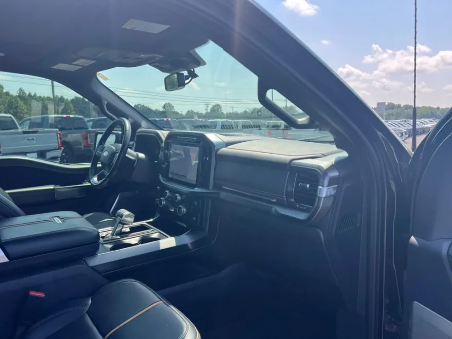 2021 Ford F-150 Platinum photo 13
