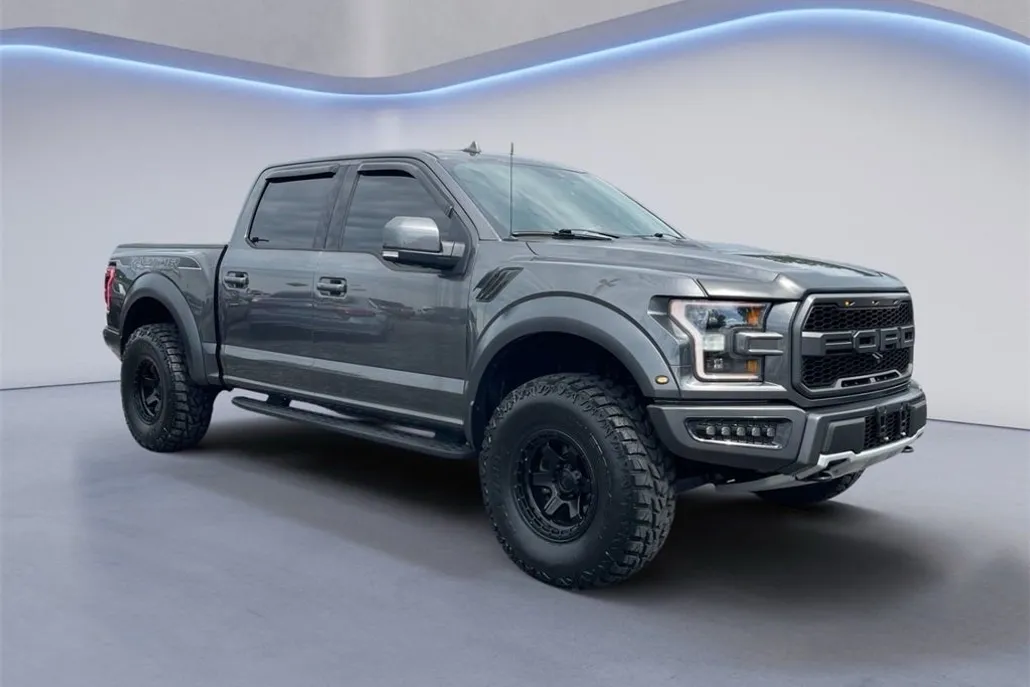 2019 Ford F-150 Raptor photo 1