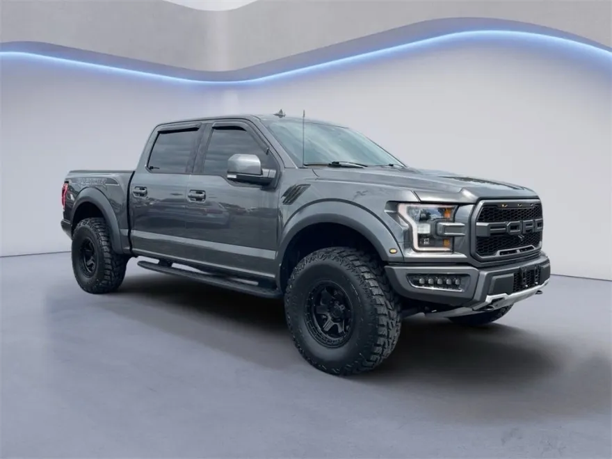 2019 Ford F-150 Raptor photo 1