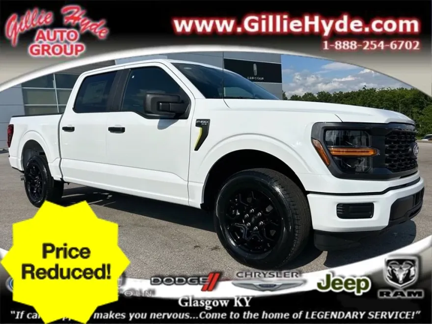 2025 Ford F-150 STX photo 1