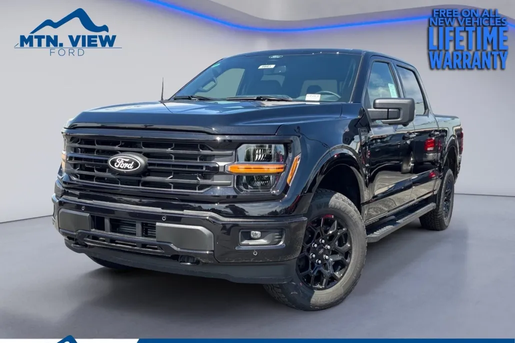 2025 Ford F-150 XLT photo 1