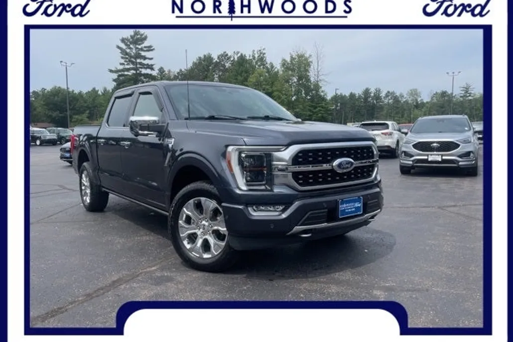 2021 Ford F-150 Platinum photo 1