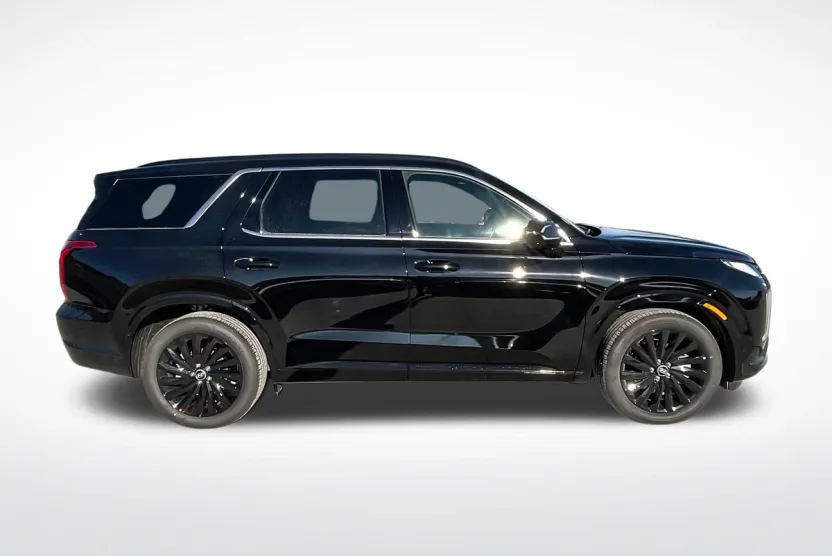 2025 Hyundai Palisade Calligraphy photo 1