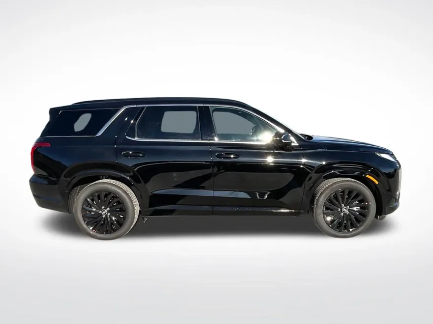 2025 Hyundai Palisade Calligraphy photo 1