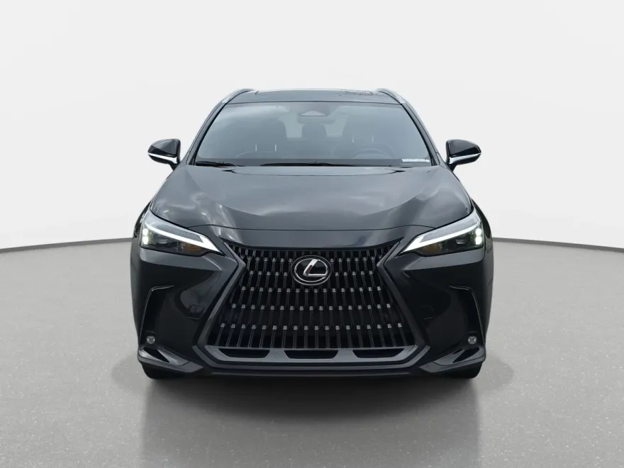 2023 Lexus NX 350h Premium photo 1